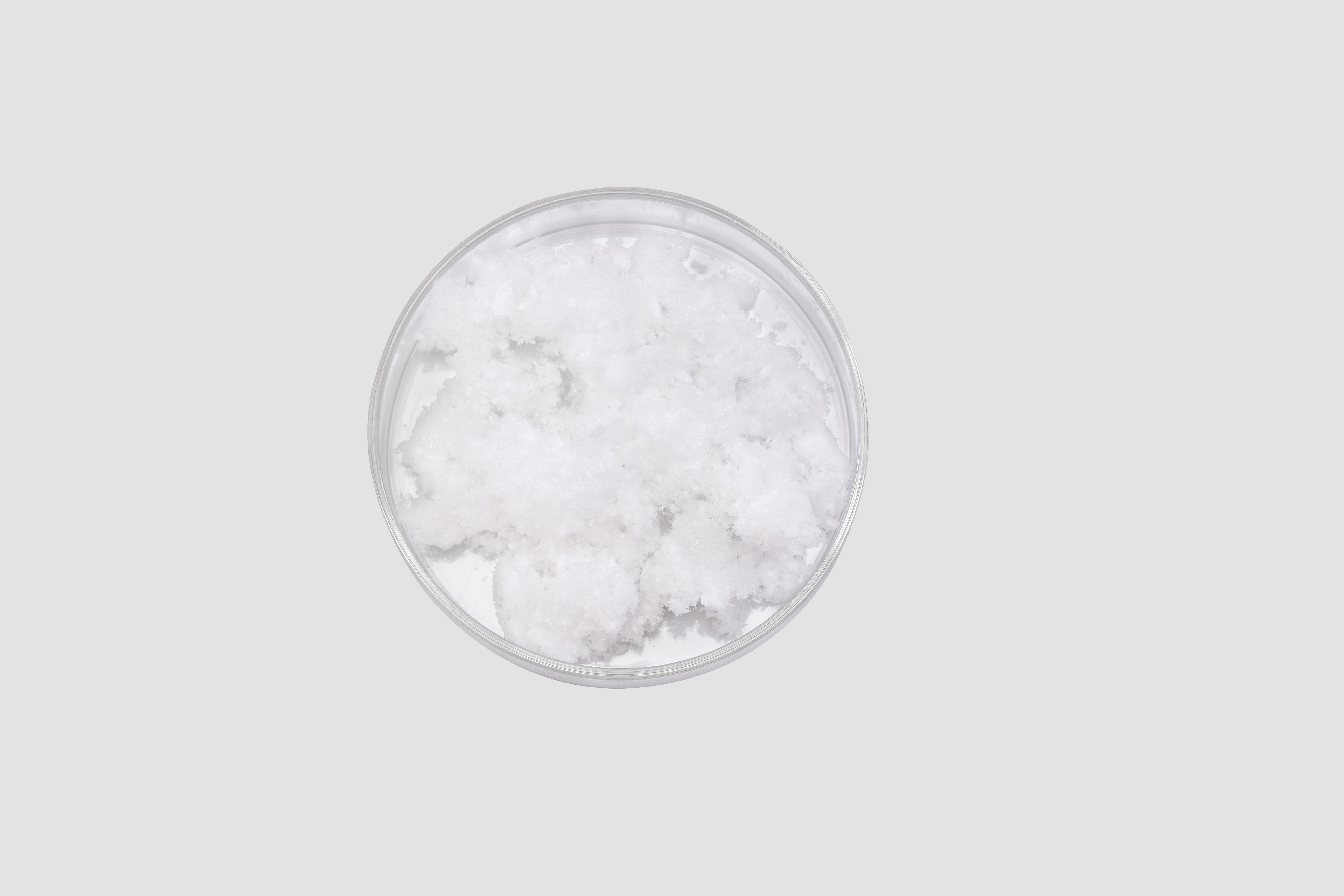 Çözünür atelocollagen tozu